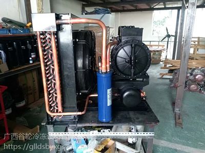 廣西、谷輪C系列制冷壓縮機